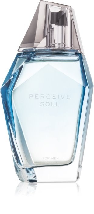 Avon Perceive Soul Eau de Toilette for Men 100 ml