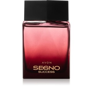 Avon Segno Success Eau de Parfum for Men 75 ml