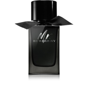Burberry Mr. Burberry Eau de Parfum for Men   100 ml