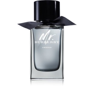 Burberry Mr. Burberry Indigo Eau de Toilette for Men 150 ml