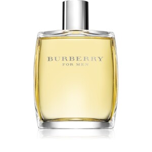 Burberry Burberry for Men Eau de Toilette for Men 100 ml