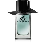 Burberry Mr. Burberry Eau de Toilette for Men   100 ml