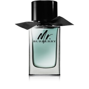 Burberry Mr. Burberry Eau de Toilette for Men   100 ml