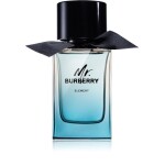 Burberry Mr. Burberry Element Eau de Toilette for Men 100 ml