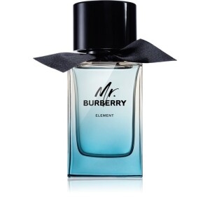 Burberry Mr. Burberry Element Eau de Toilette for Men 100 ml