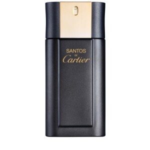 Cartier Santos Concentrate Eau de Toilette for Men   100 ml