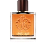 Roberto Cavalli Uomo Deep Desire Eau de Toilette for Men   100 ml
