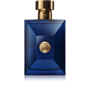 Versace Dylan Blue Pour Homme Eau de Toilette for Men   100 ml